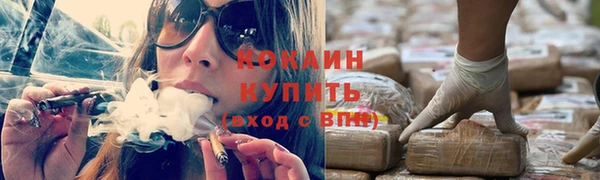 гашик Бородино