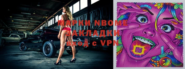гашик Бородино