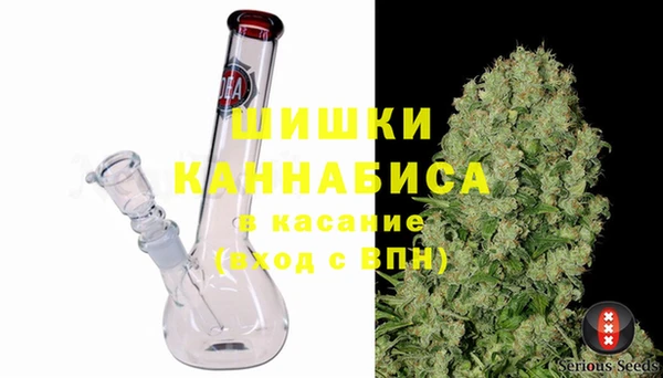 гашик Бородино
