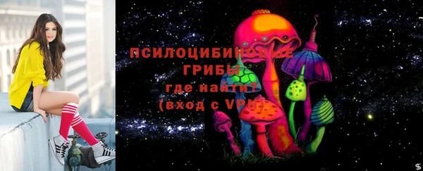 гашик Бородино