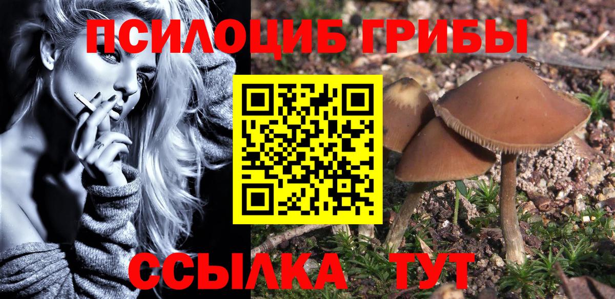 Галлюциногенные грибы MAGIC MUSHROOMS Можайск