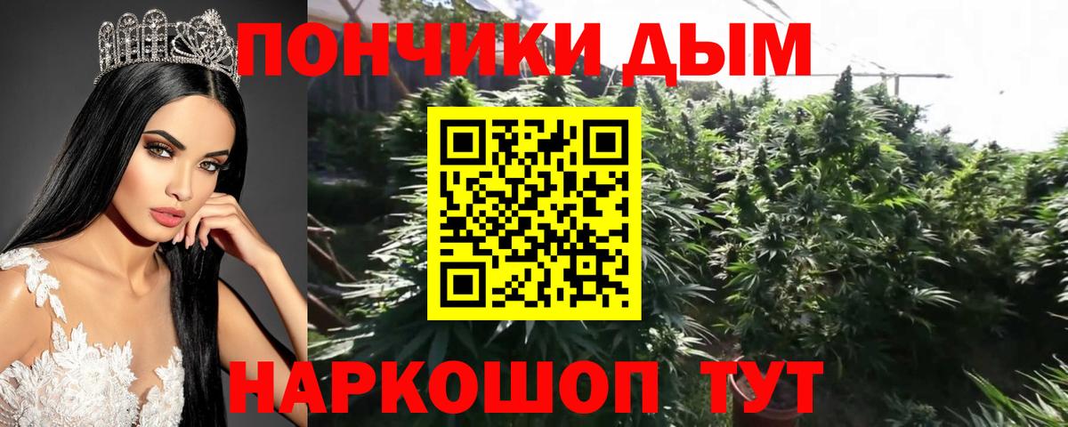 Бошки марихуана Amnesia Можайск